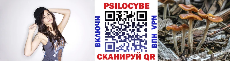 где продают   Лесозаводск  Галлюциногенные грибы ЛСД 