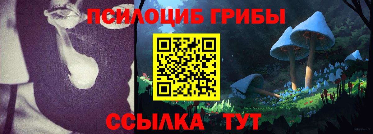 сколько стоит  Вход с VPN  Лесозаводск  Галлюциногенные грибы GOLDEN TEACHER  Галлюциногенные грибы MAGIC MUSHROOMS 